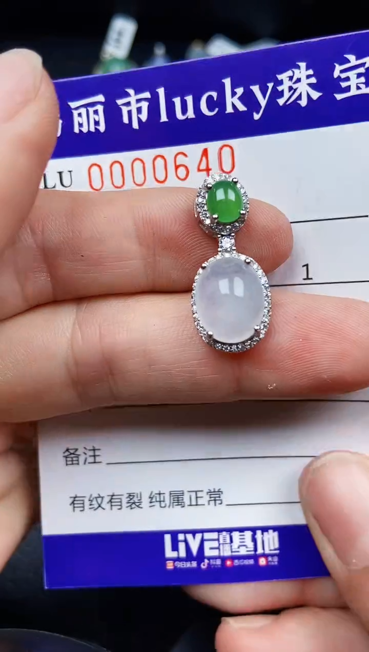 翡翠银S925镶嵌颈饰0640