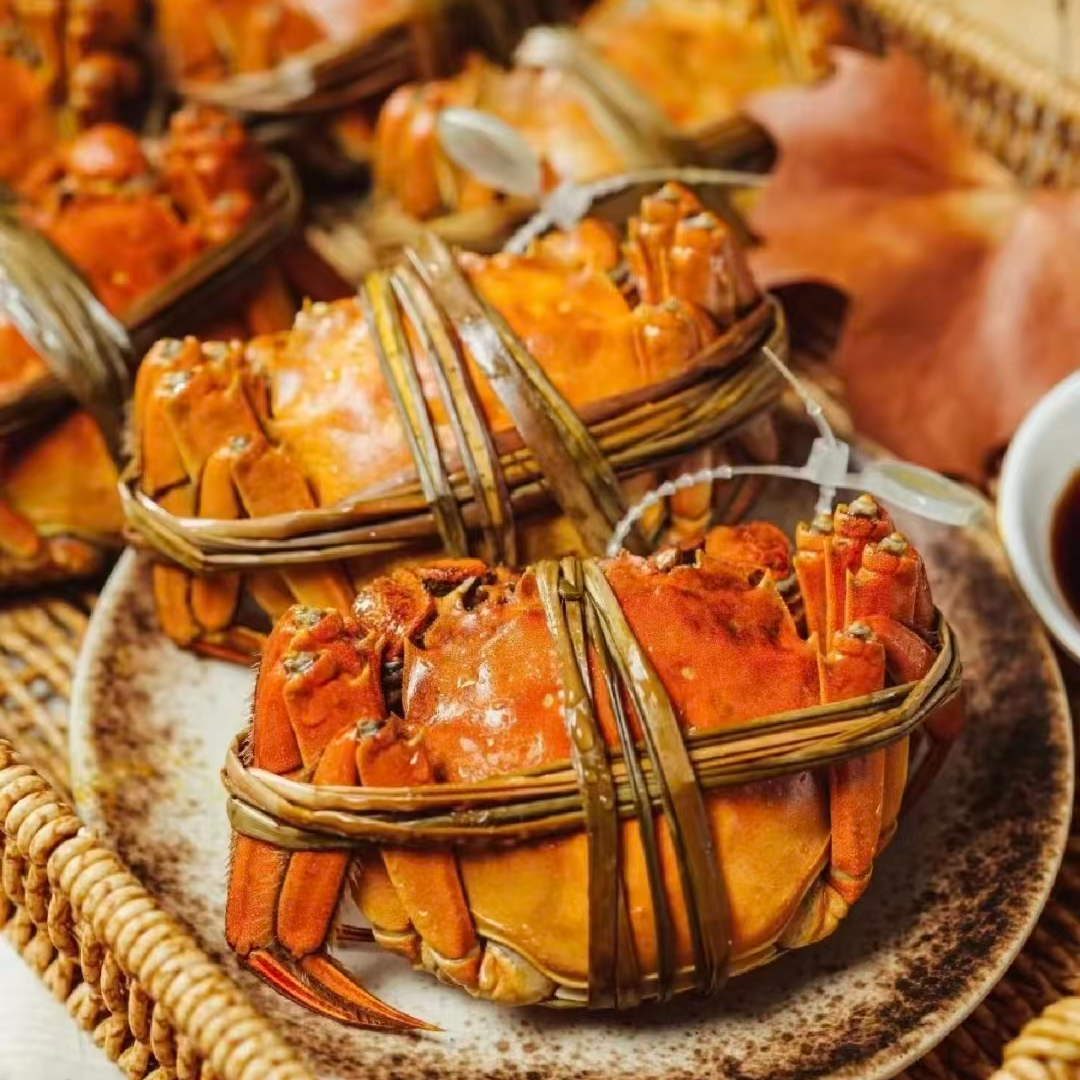 2曦哥家 售后无忧【2.0-1.7两母活蟹】江苏精品河蟹死蟹包赔10/20只