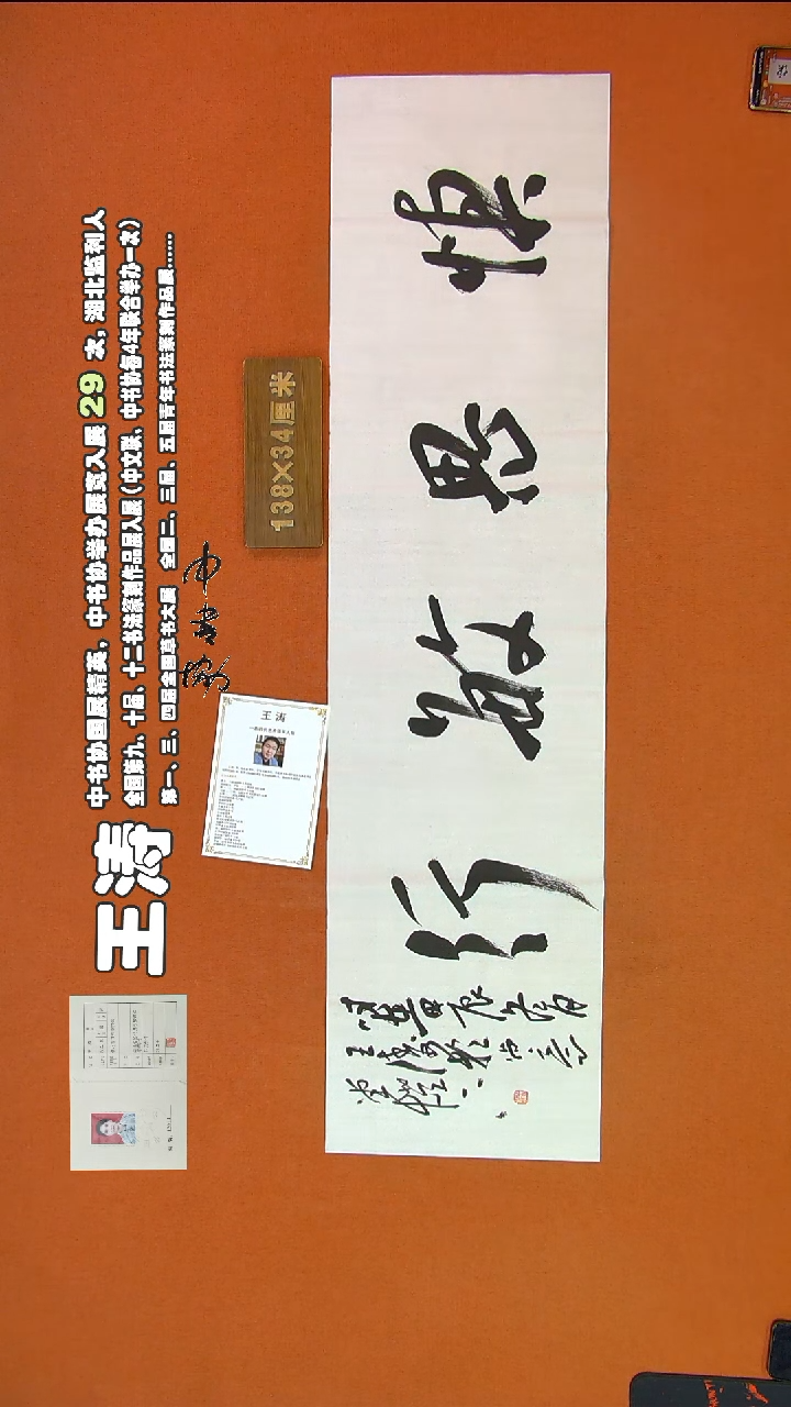 【闪购商品】书法298王涛书法作品