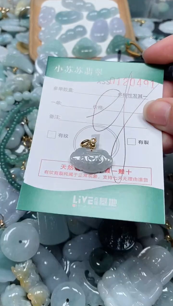 【闪购商品】翡翠颈饰未镶嵌闪购商品0120491