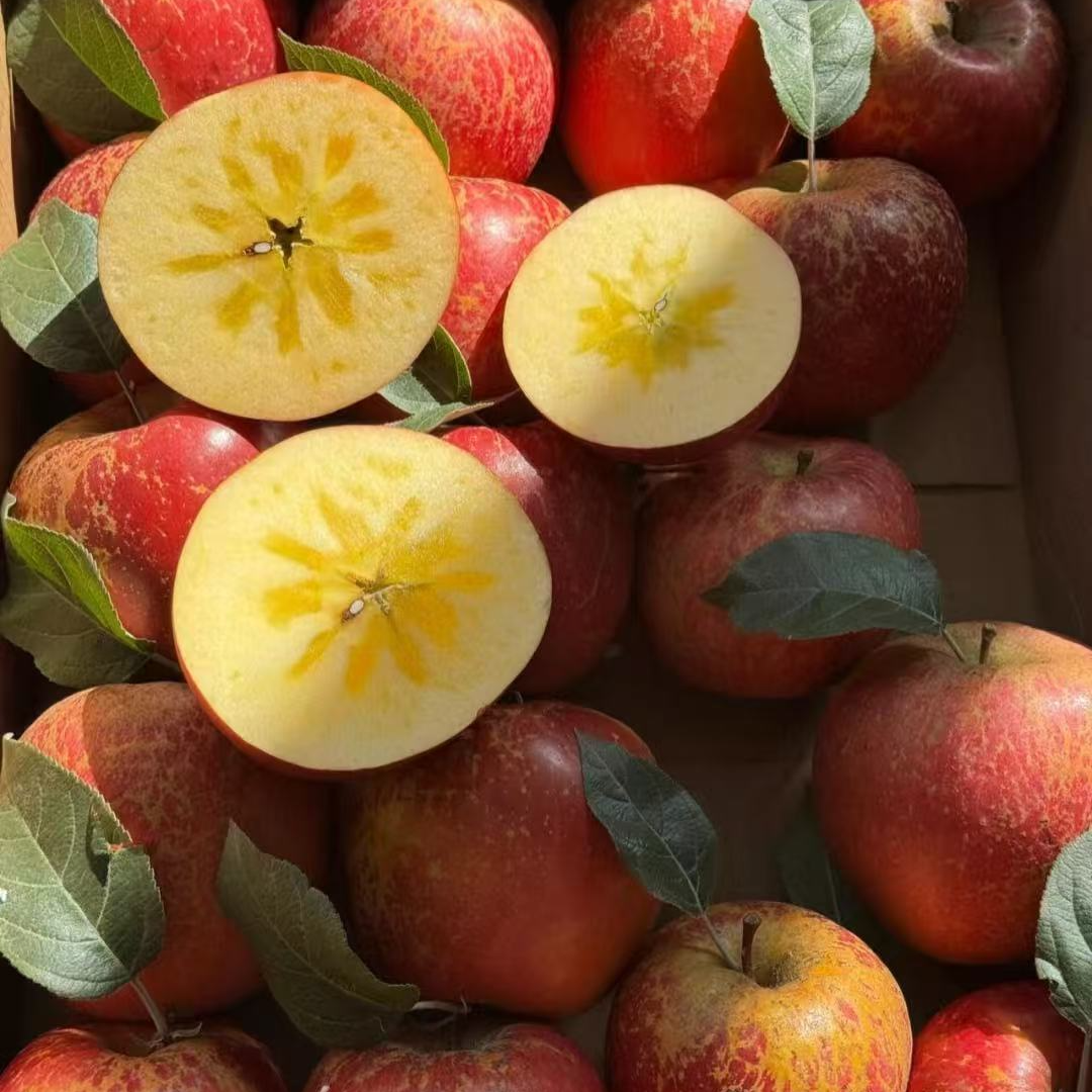 21【全国次日达】云南高山丑苹果脆甜多汁新鲜现发正宗丑苹果当季热卖云南省