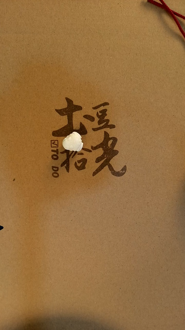 【闪购商品】菩提根/象牙果吊坠6666