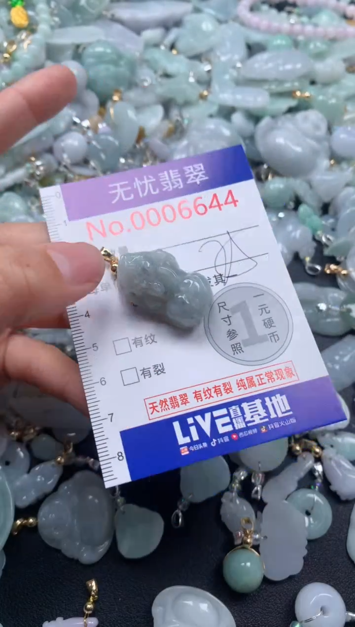 颈饰未镶嵌翡翠6644