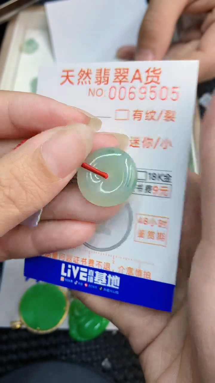 【闪购商品】翡翠颈饰未镶嵌            8