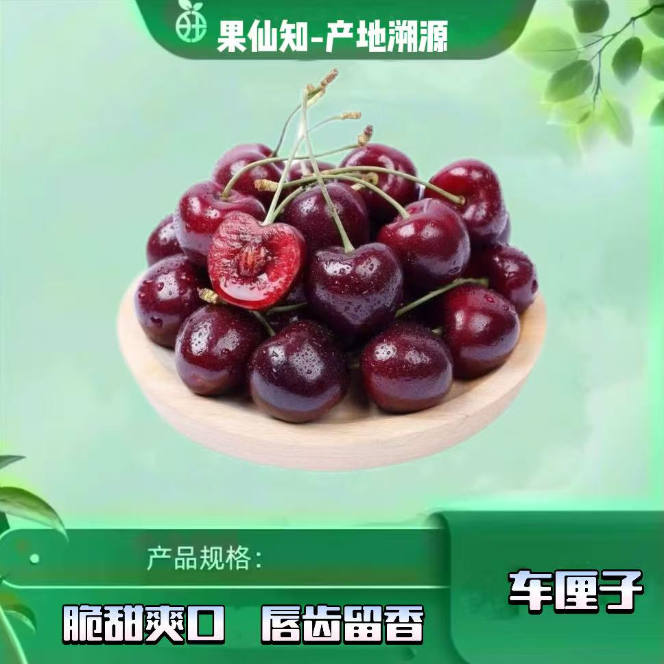 【车厘子 空运 桑提娜3JD 箱/5斤 内附果径卡 】