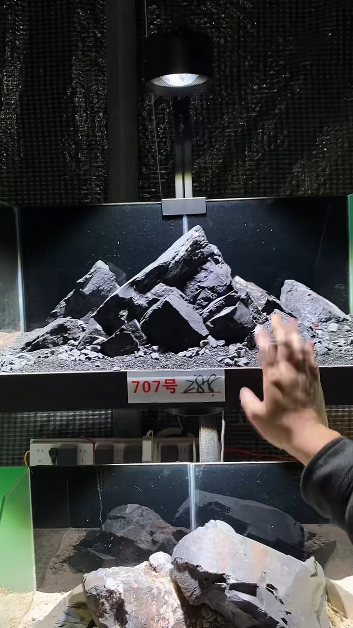 707号鱼缸造景（不含底砂）