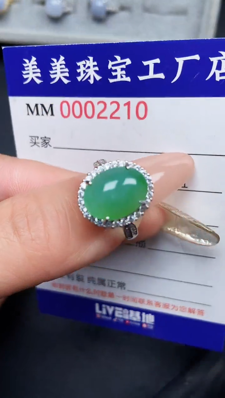 【闪购商品】翡翠颈饰银S925镶嵌2210