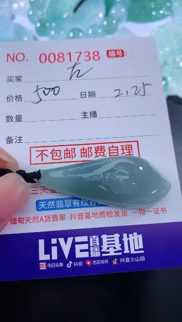 【闪购商品】翡翠颈饰未镶嵌左