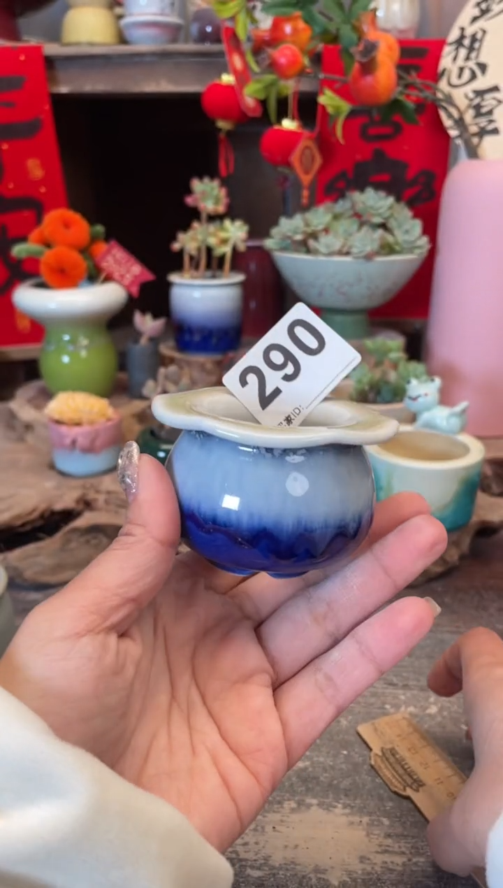 【闪购商品】摆件290知木小芳花盆