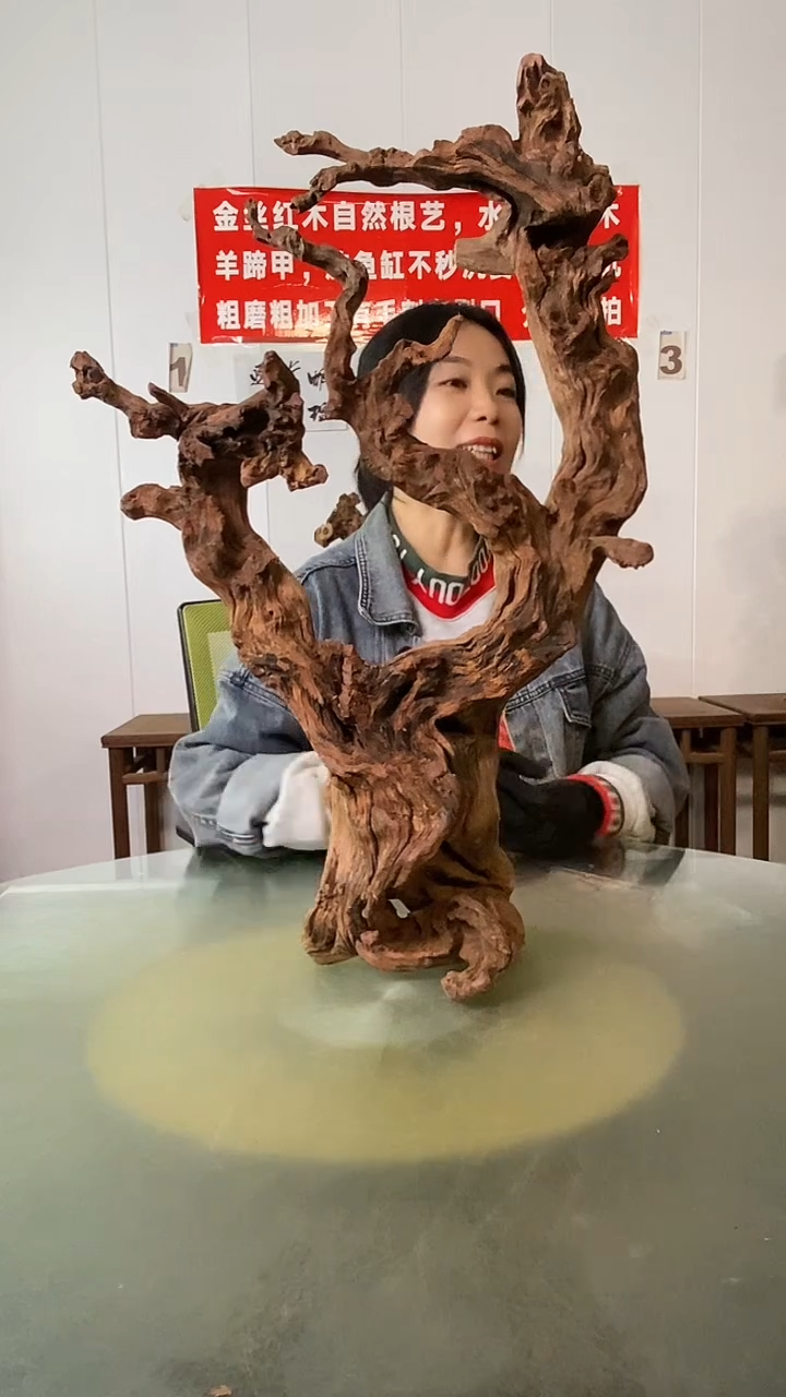木瘾*、金丝红木 羊蹄甲