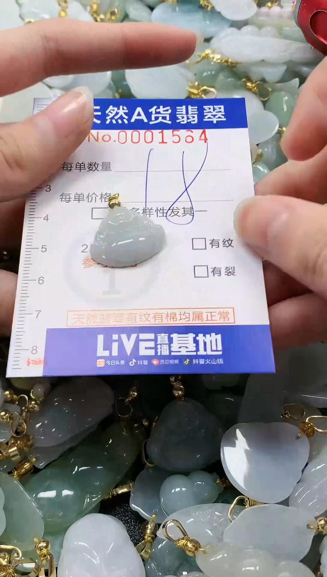 颈饰未镶嵌翡翠纯天然a货翡翠