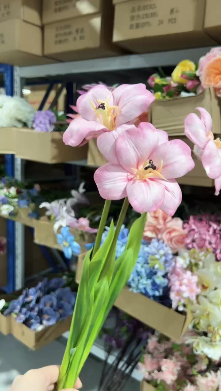 3枝粉色布朗尼郁金香