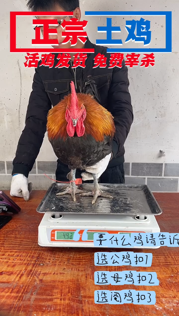 包装180中国大陆平*心211