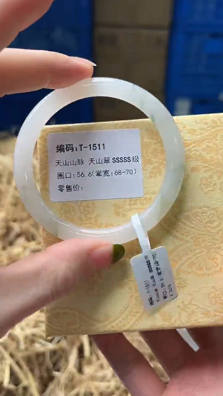 未镶嵌手镯石英质玉T1511