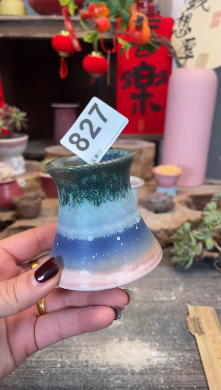 【闪购商品】摆件627知木小芳花盆