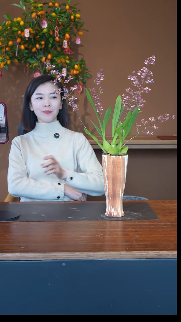 全部花朵香宝贝梦香兰盆景盆景盆景