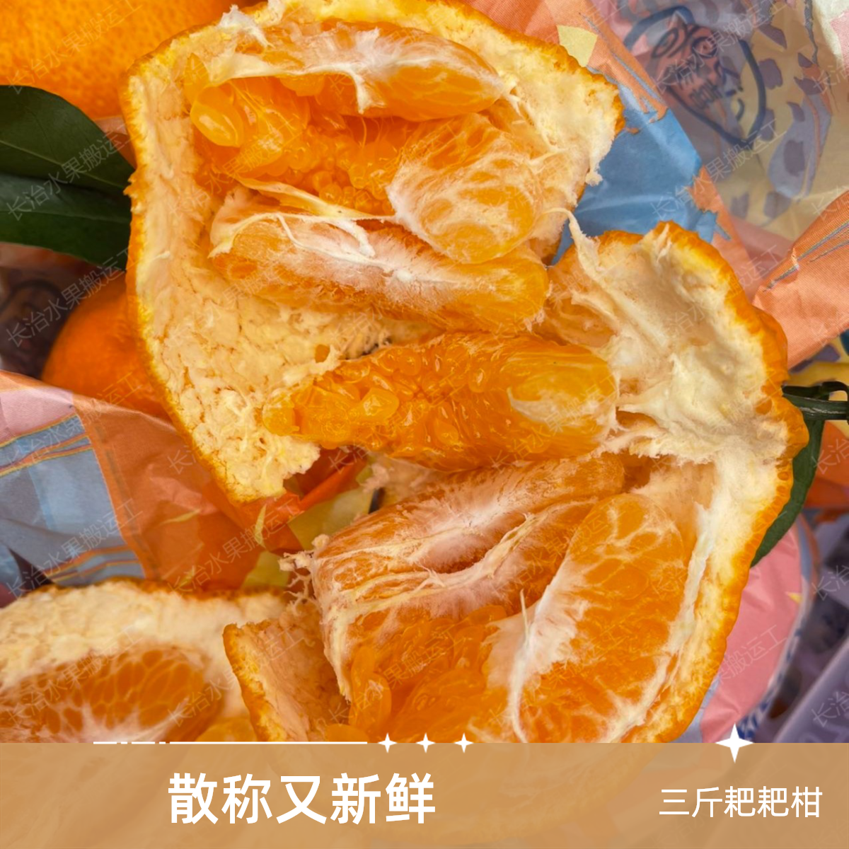 【4斤】四川散称耙耙柑（中果）四川省