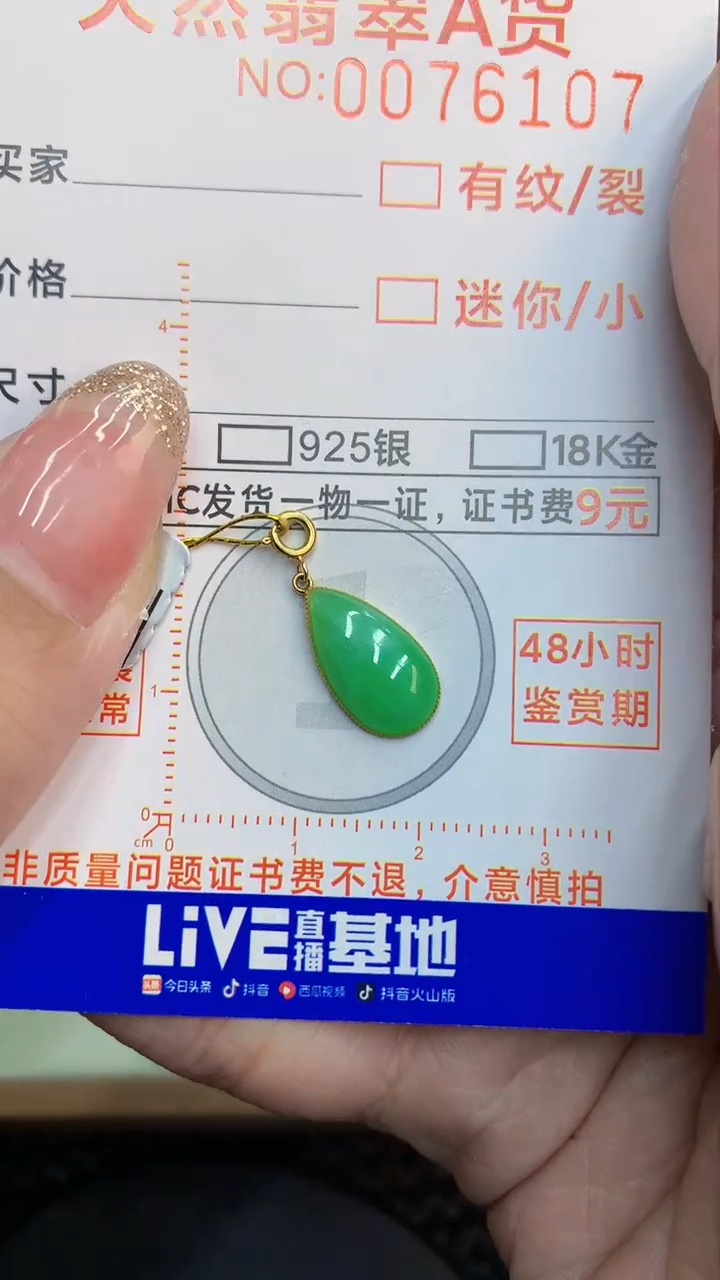 翡翠18K金镶嵌颈饰             8