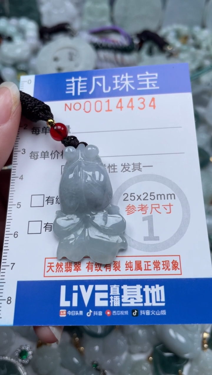 颈饰未镶嵌翡翠14434