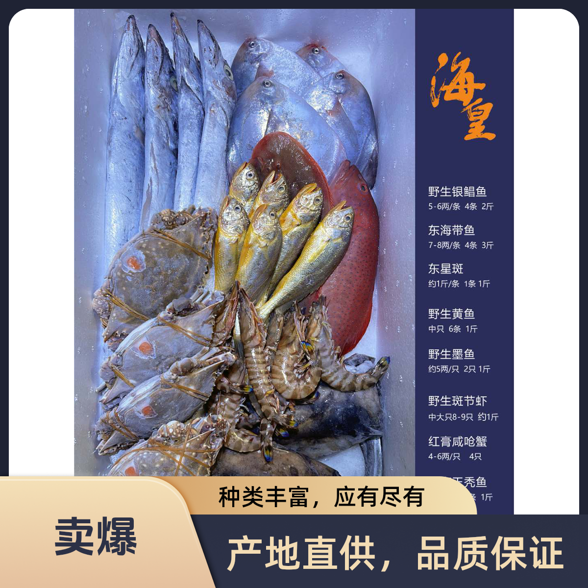 新鲜海鲜礼盒（多款可选） 海鲜大礼包 年货海鲜春节送礼佳品