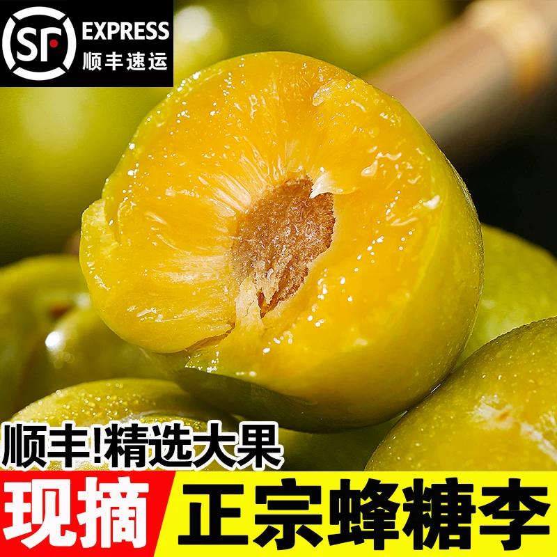 【顺丰包邮】【今天拍明天到】正宗六马蜂糖李贵州脆甜可口现摘现发脱骨李贵州省