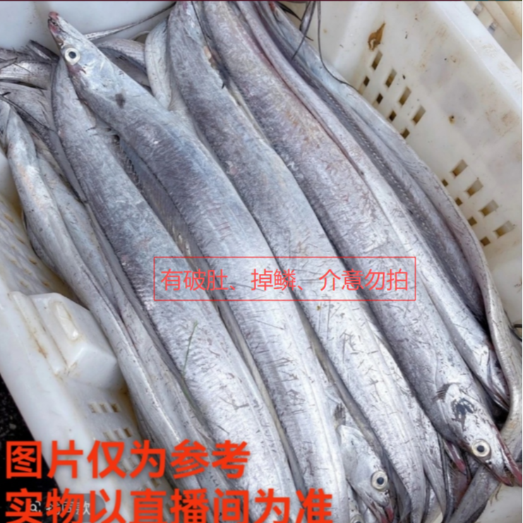 大连发货 自选鱼 有破肚、掉鳞 介意勿拍