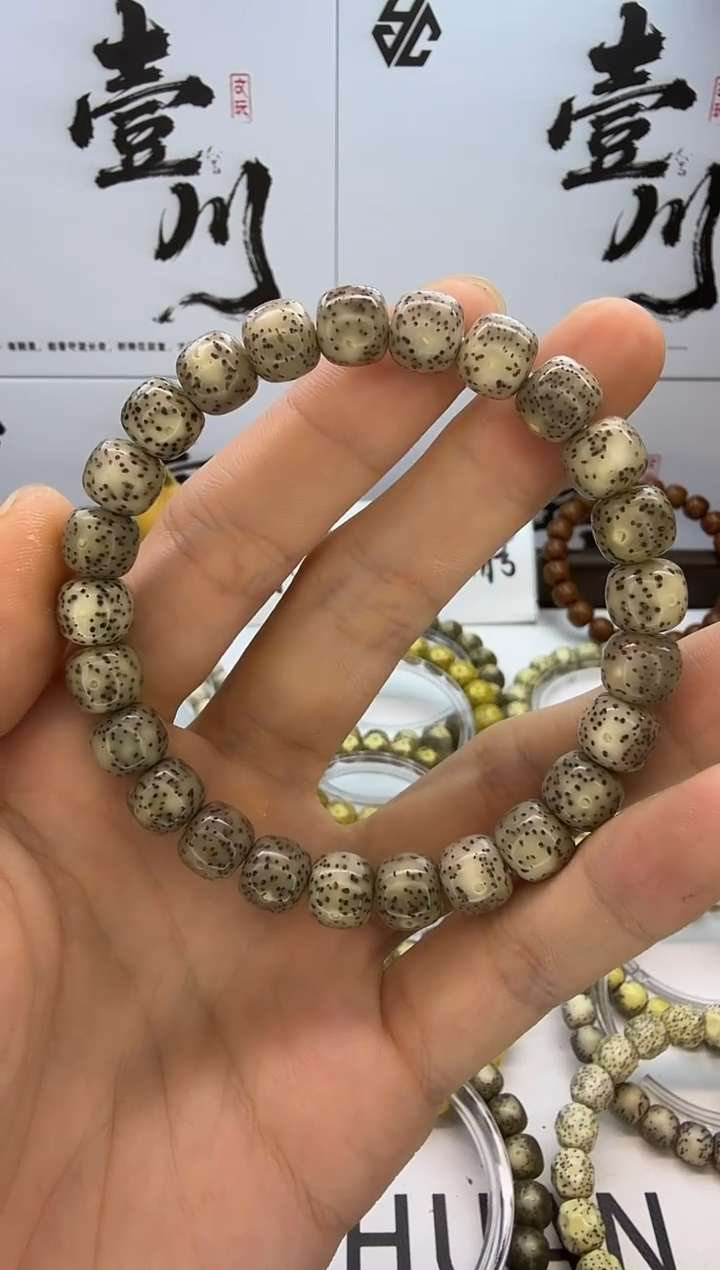 手串星月菩提9/8 冰糖 小细星 同枝果 48
