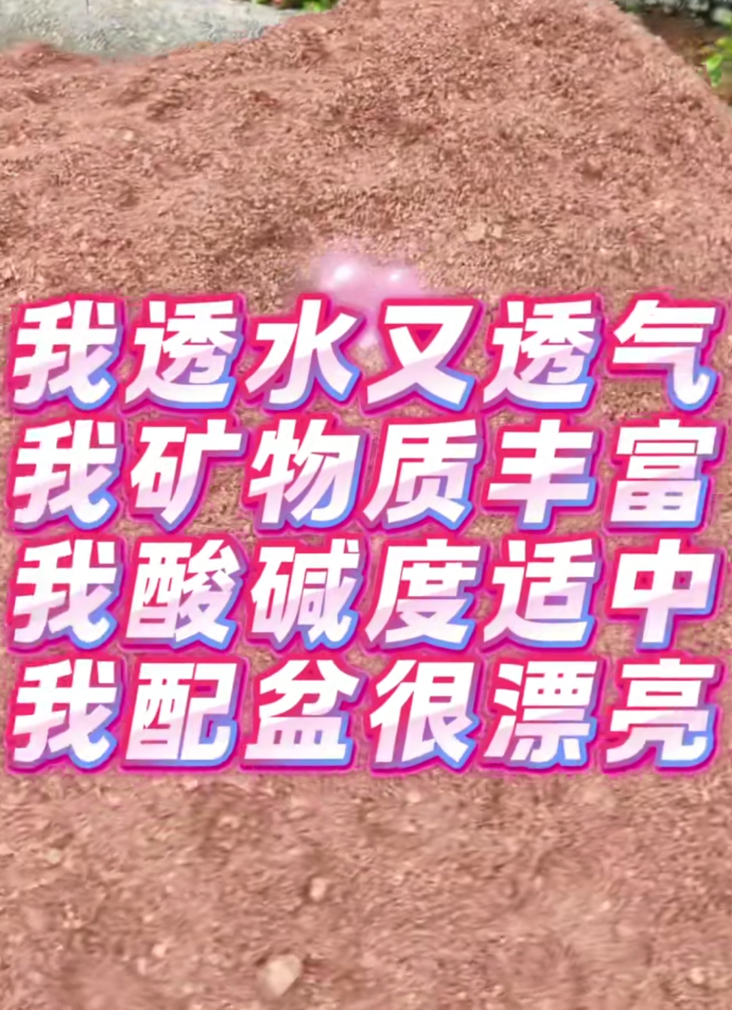 风化土18-20斤包邮到家，（偏远地区不包）紫色页岩土