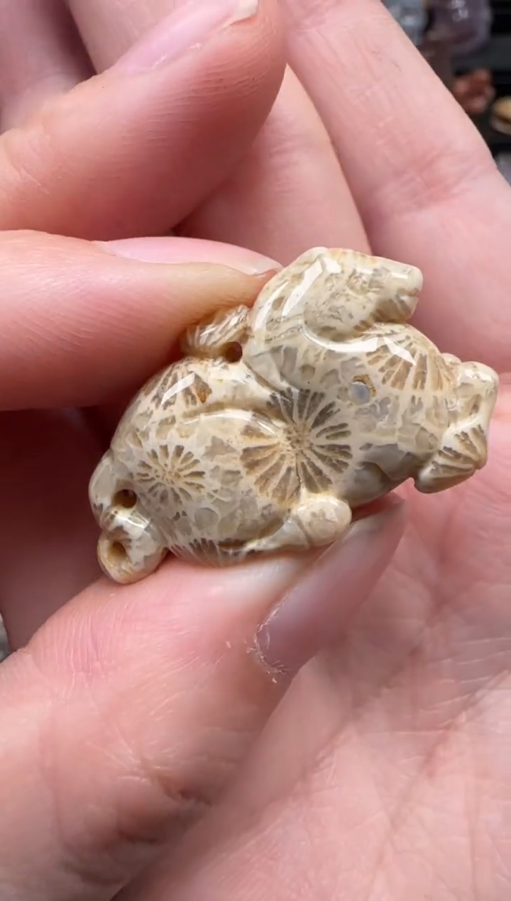 颈饰未镶嵌硅化珊瑚（珊瑚玉）157