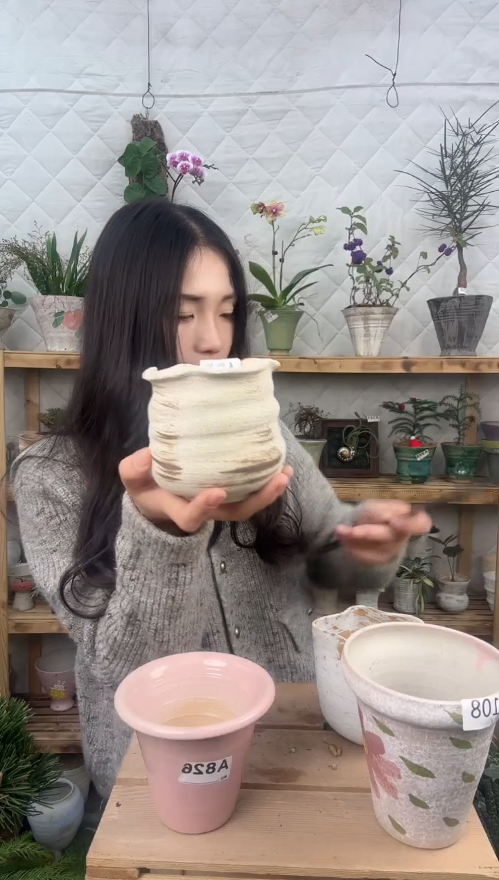 无花朵编号 455 景德镇手工盆