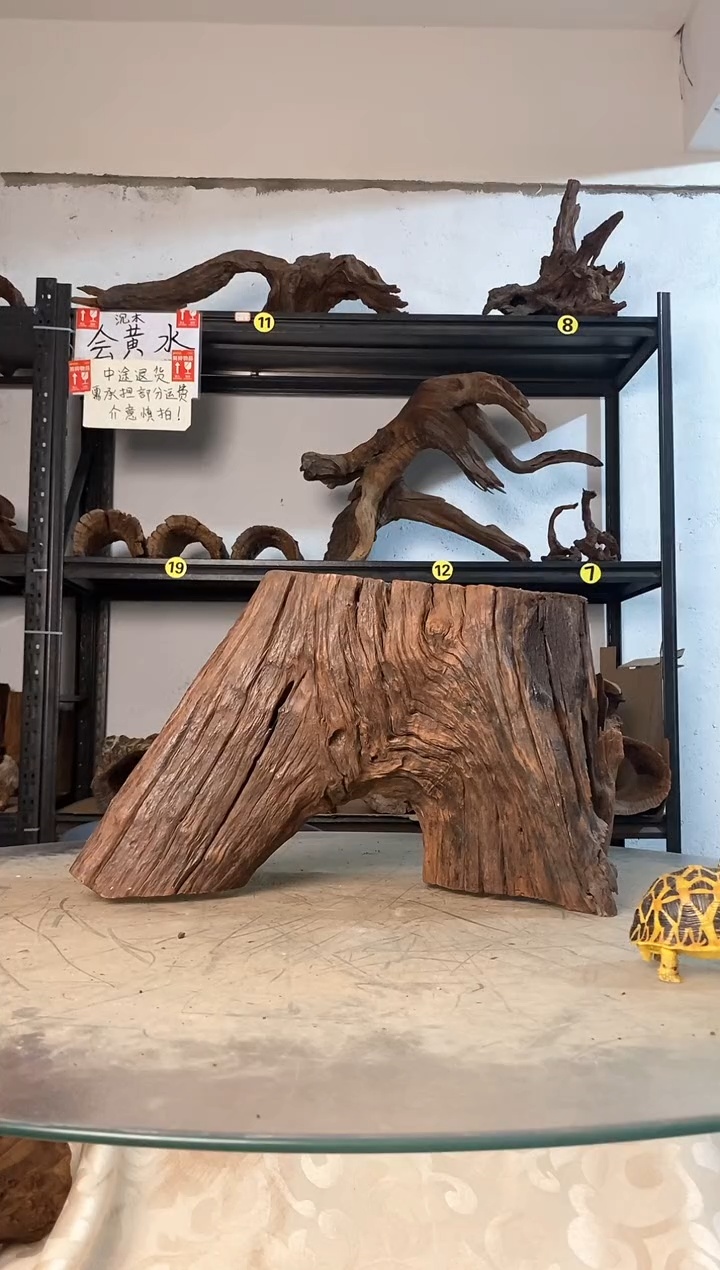 归*鱼缸爬宠造景素材744