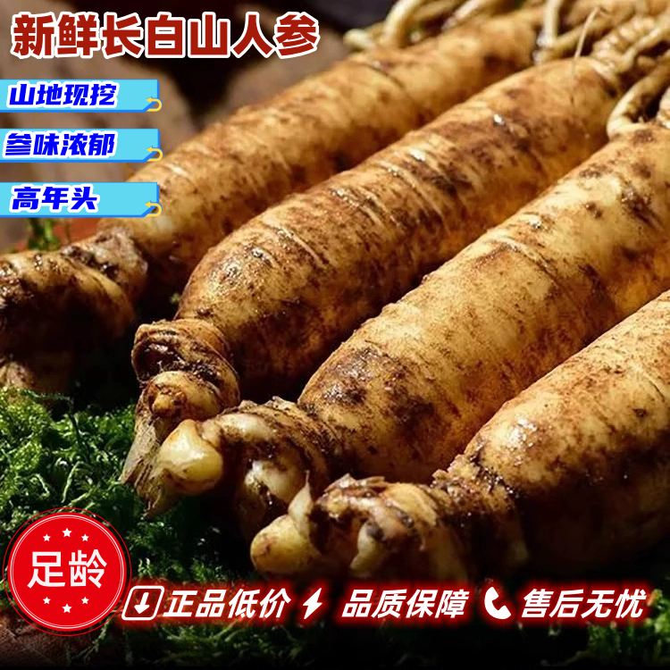 长白山新鲜现挖足龄带土产地直发大参