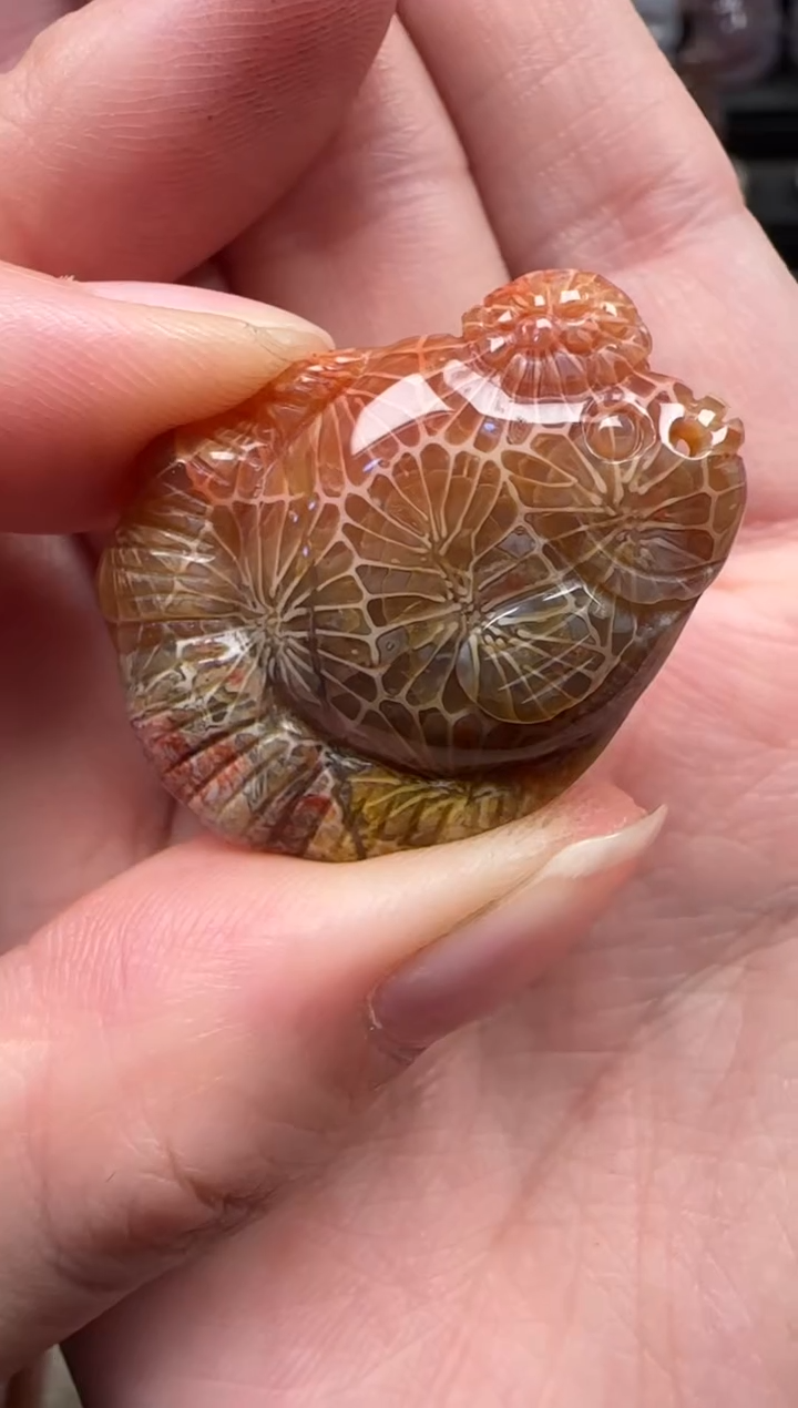 颈饰未镶嵌硅化珊瑚（珊瑚玉）874