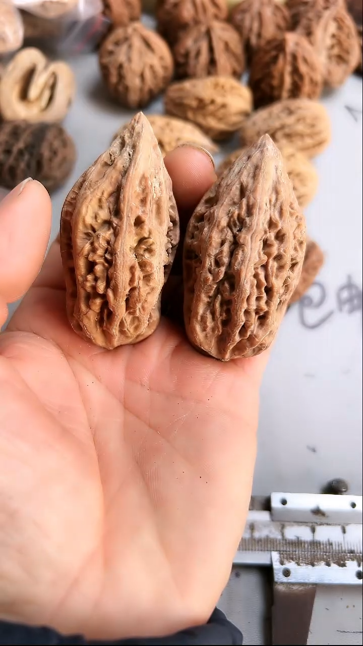 核桃东北野生大秋子1