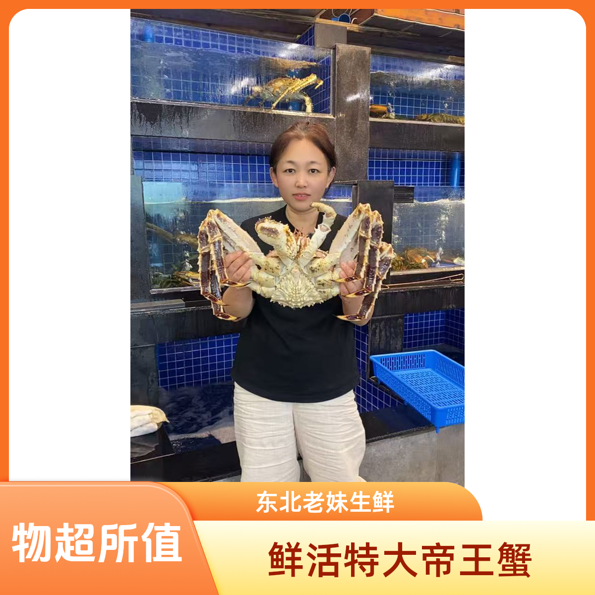 深海海域特大鲜活帝王蟹（顺丰发货）