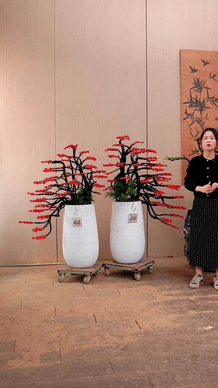 【闪购商品】北美冬青