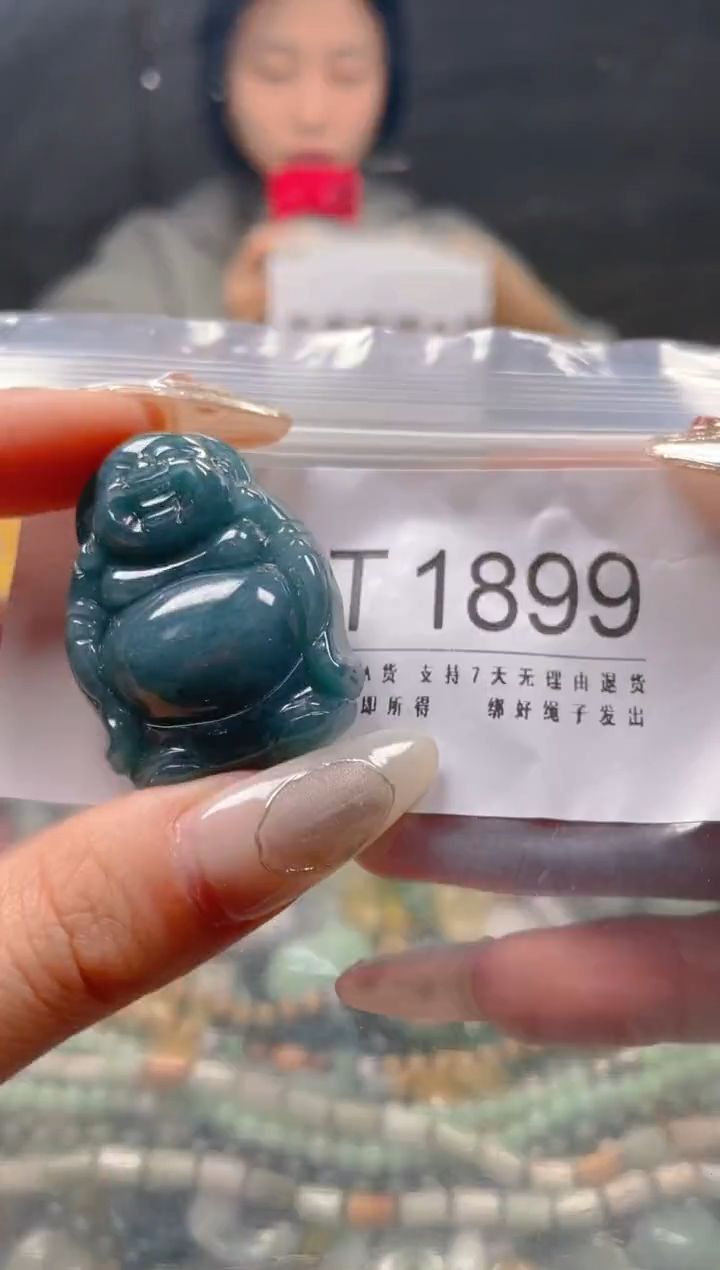 【闪购商品】翡翠颈饰未镶嵌/T/翡翠A货一图一物