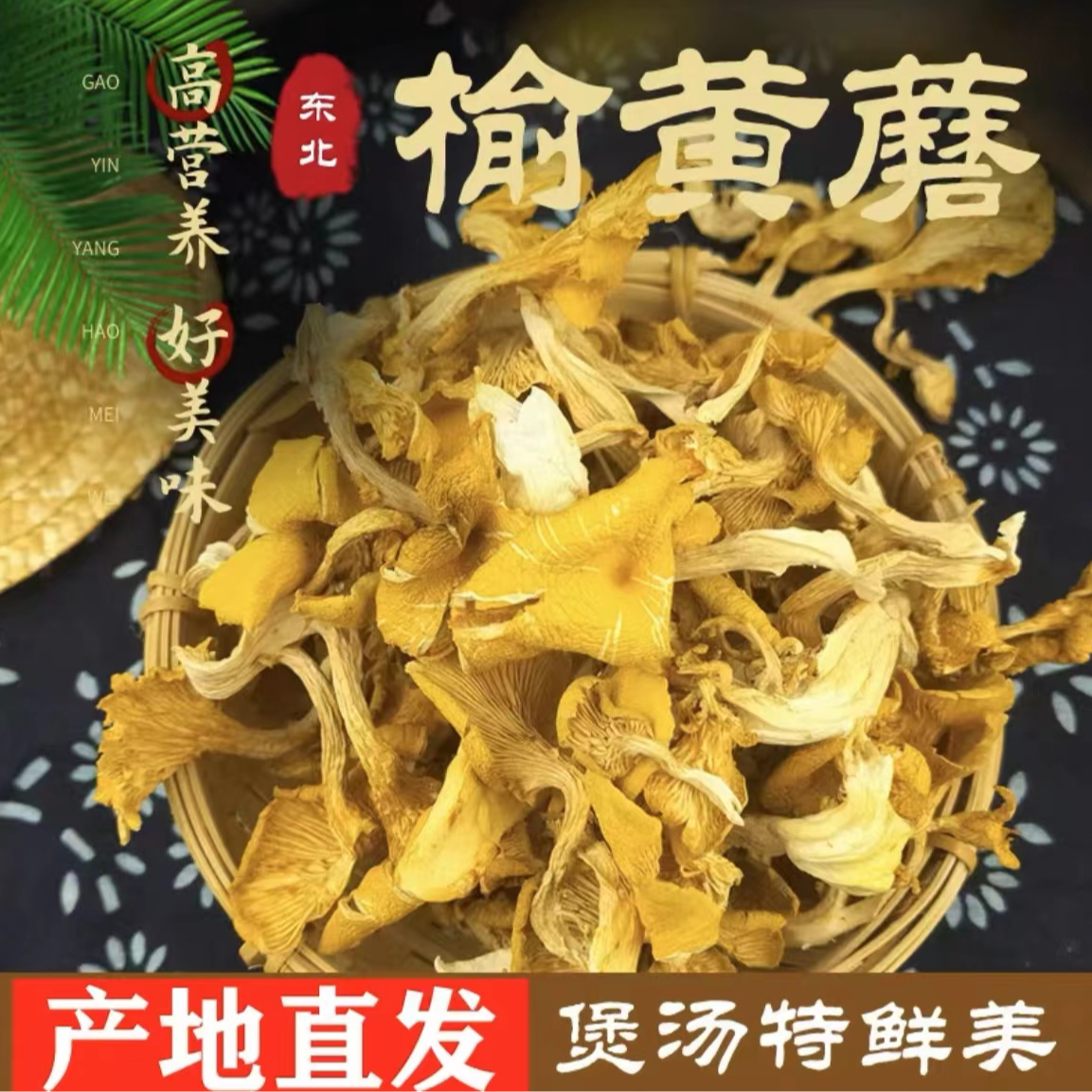东北特产长白山榆黄蘑干货菌香浓郁营养美味鲜嫩多汁