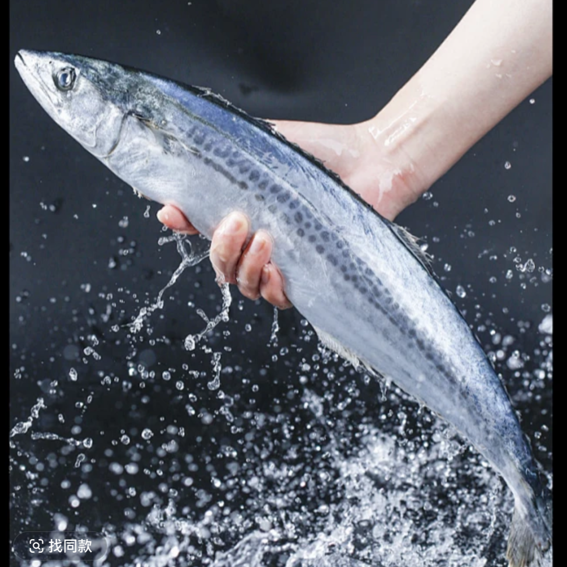  净重4斤以上精品带鱼