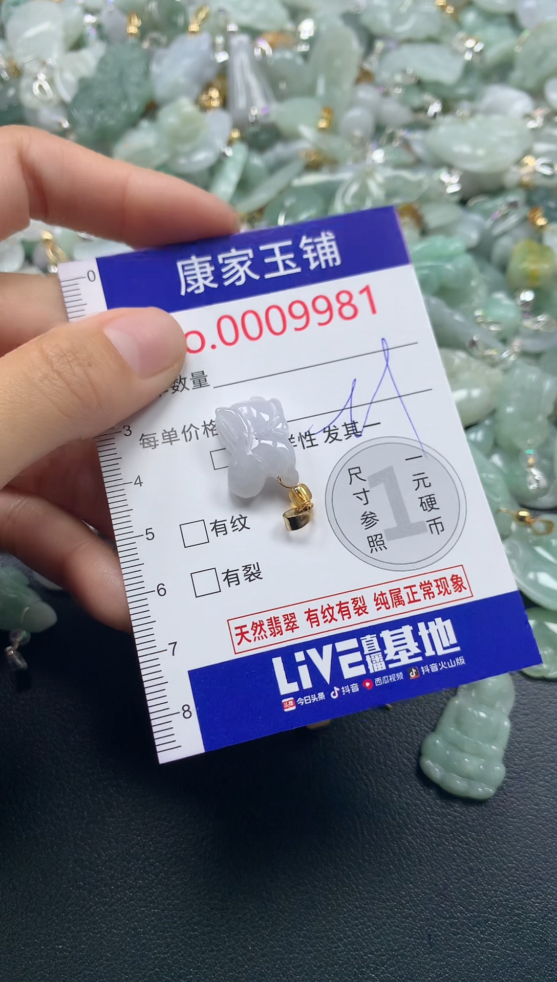 颈饰未镶嵌翡翠9981