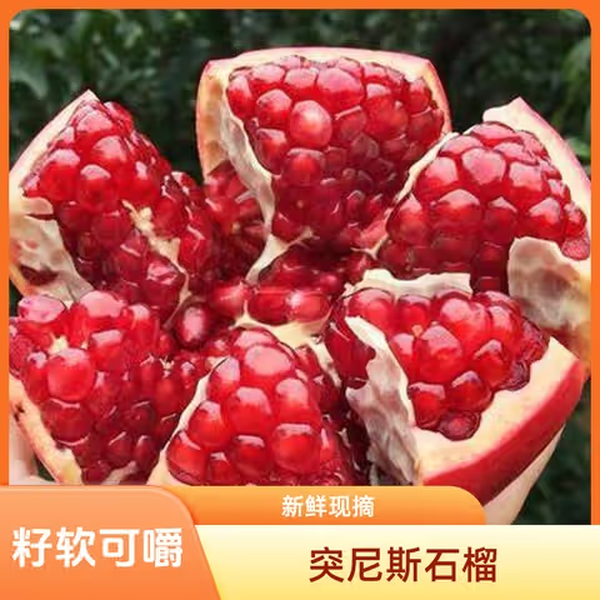 【王中王】突尼斯软籽石榴 1个装（大果1个约1.2斤）现摘现发 籽软可嚼【拉萨同城小时达】