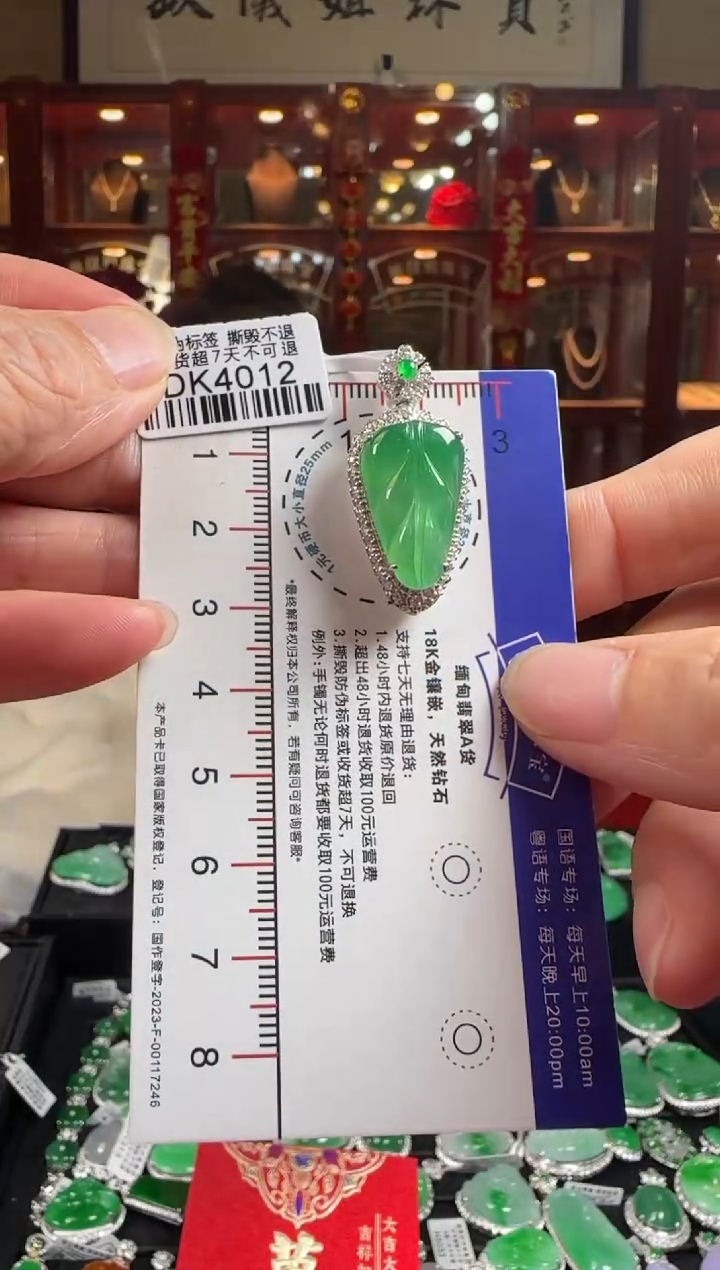 【闪购商品】翡翠颈饰18K金镶嵌DK4012冰绿叶子