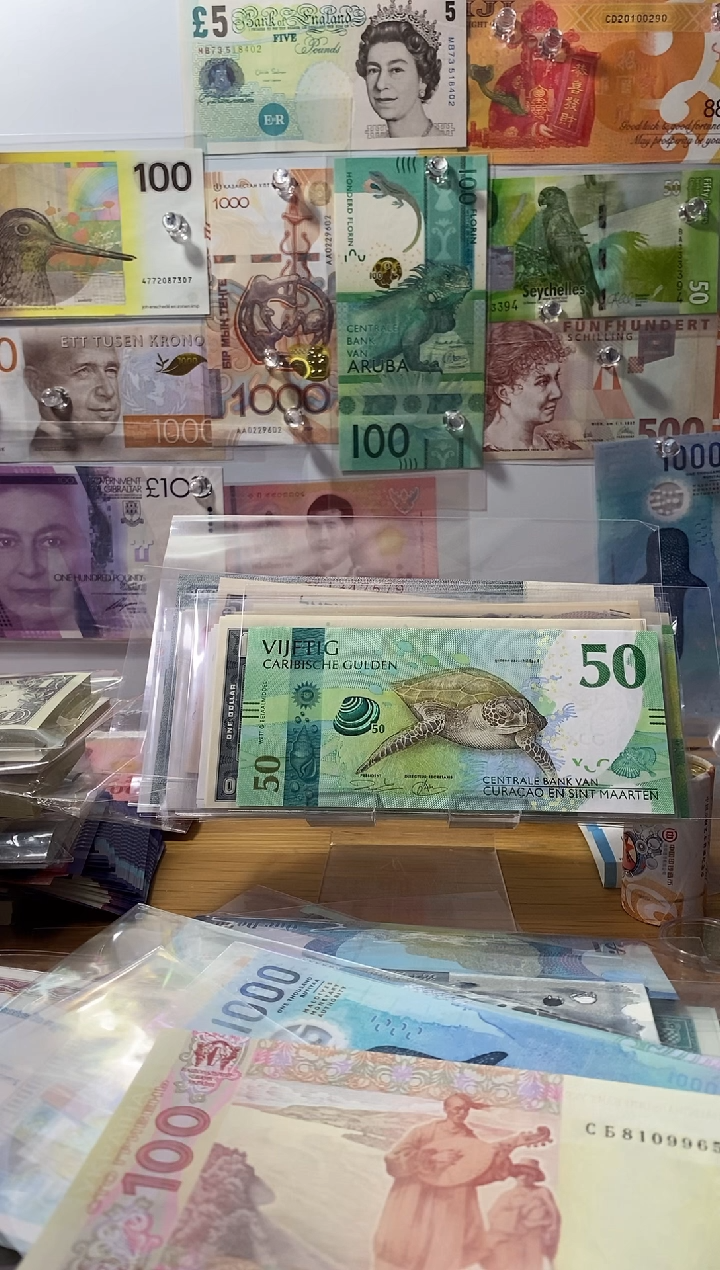 普通金属币L*澳大利亚100塑料钞