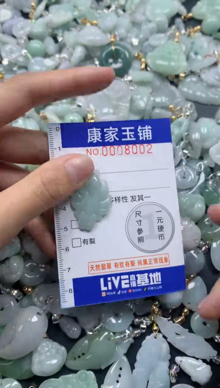 颈饰未镶嵌翡翠8002