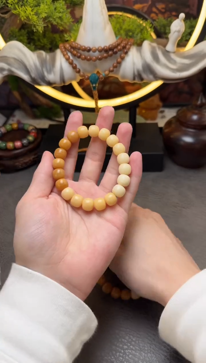 手串菩提根/象牙果干磨渐变高钙奶老型