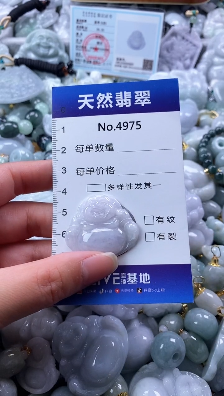 翡翠未镶嵌颈饰缅甸A货翡翠4975