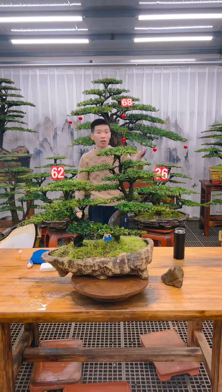 【闪购商品】紫砂精品盆景直播间一物一拍