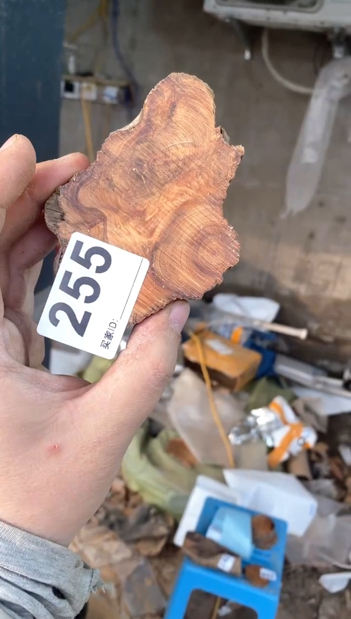 【闪购商品】柏木太行陈化崖柏（津诚林）切片