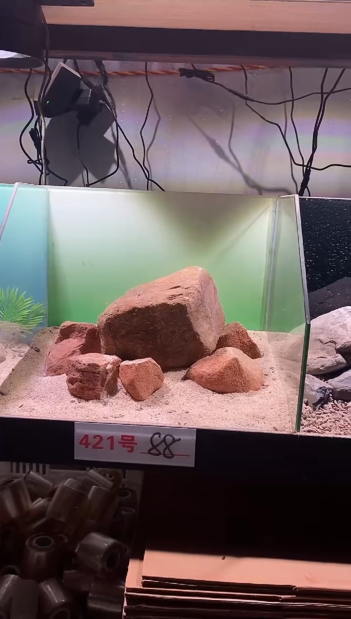 421号鱼缸造景（不含底砂）