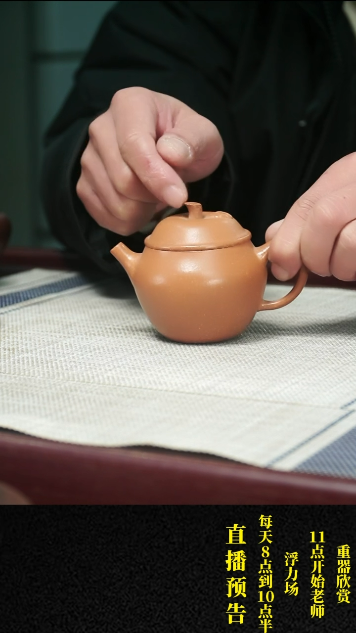 【闪购商品】紫砂茶壶紫砂 茶壶20